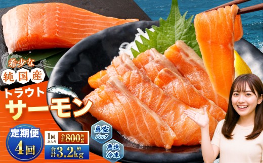 【4回定期便】 国産 トラウトサーモン 計約3.2kg （約200g×4パック）×4回 サーモン 新鮮 小分け 真空パック 急速凍結 国内養殖 冷凍