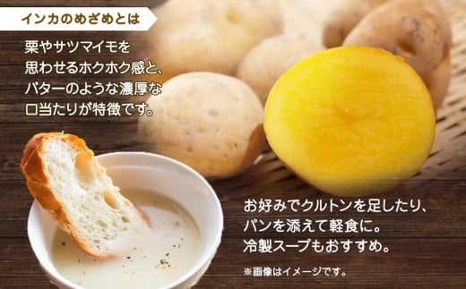 åæµ·éã€ã³ã«ã®ããããã¿ãŒãžã¥ 3è¢Ã4ç®± 12é£å
¥ããotaru012ã ãã¿ãŒãžã¥ ãã¿ãŒãžã¥ã¹ãŒã ããããã¿ãŒãžã¥ åæµ·éç£ ã€ã³ã«ã®ããã ããããã ãžã£ã¬ã€ã¢ ã¹ãŒã ã€ã³ã¹ã¿ã³ãã¹ãŒã ã¬ãã«ãã¹ãŒã åæµ·é å°æšœåž åžžæž©