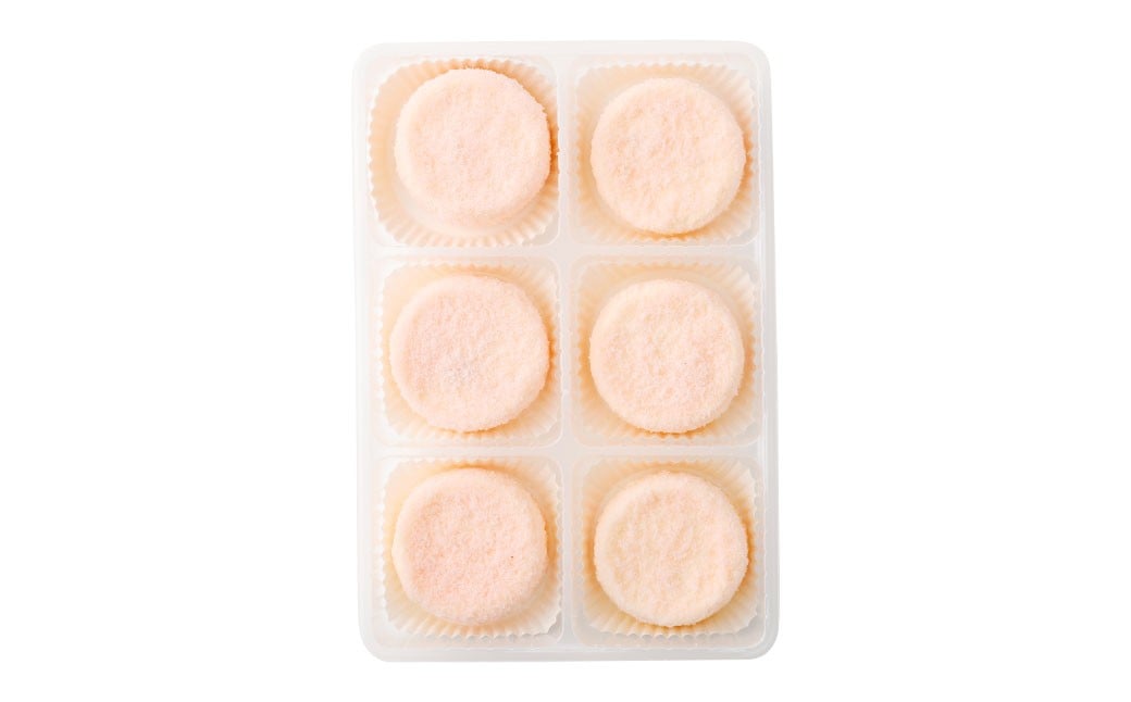 【4回定期便】 北海道ミニフロマージュ （アップル） 約900g×4回 合計約3.6kg ミニフロマージュ フロマージュ チーズケーキ ケーキ スイーツ 洋菓子 冷凍 北海道 小樽市