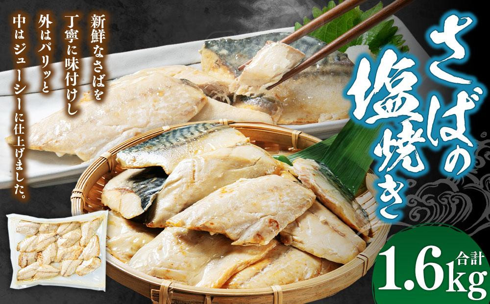 さばの塩焼き 合計1.6kg