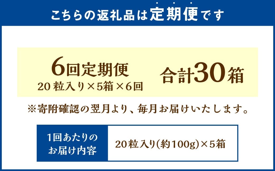 【6回定期便】 《冷凍》 北海道生チョコレート 4種 セット 5箱×6回 合計30箱 生チョコレート 生チョコ チョコレート チョコ ミルク ブラック ほうじ茶 抹茶 スイーツ 北海道 小樽市