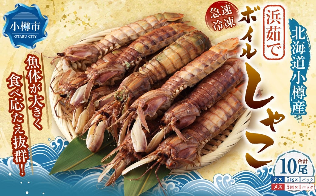 ボイル しゃこ オス・メス 合計10尾 （各5尾）