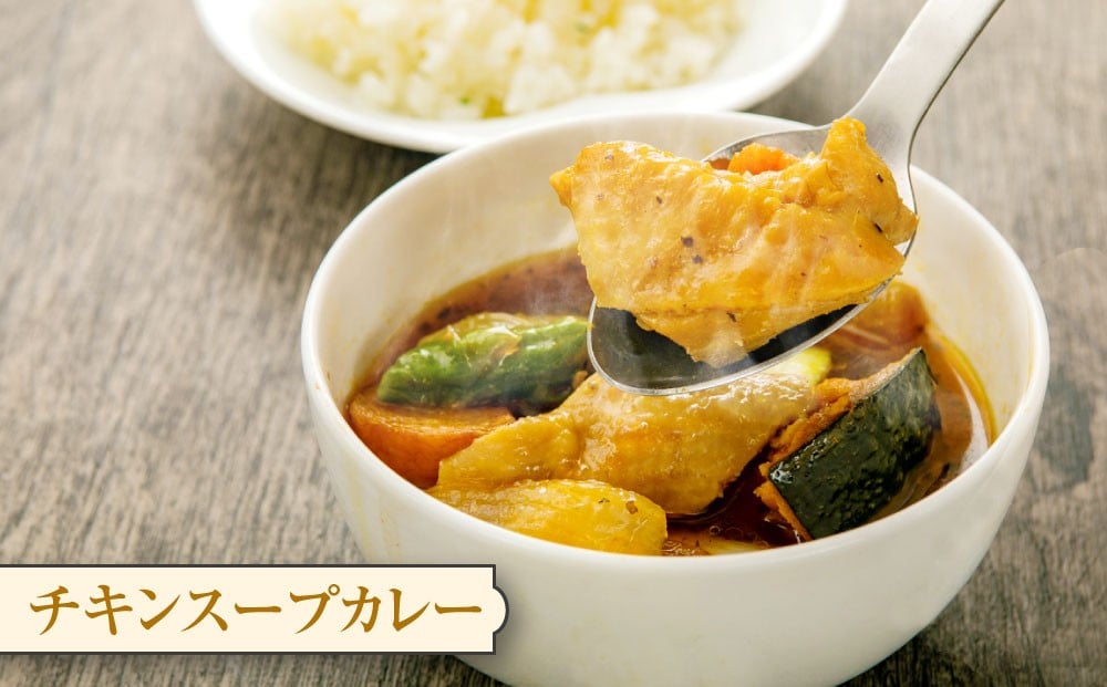 北海道 スープカレー セット 2種類 300g×4個 [A26]
