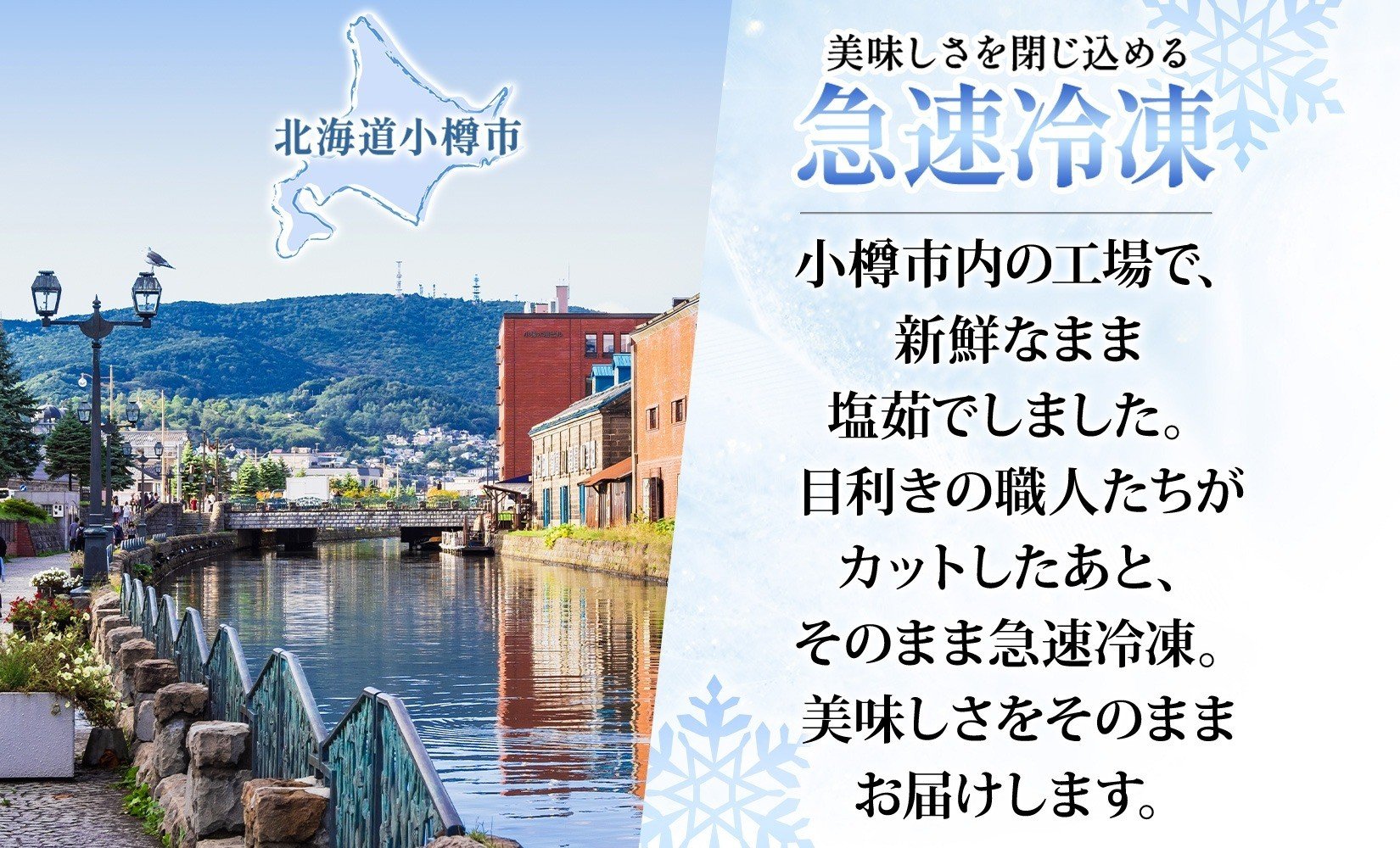 ズワイガニ 蟹しゃぶセット 約1kg 【otaru007】 カニ かに 蟹 しゃぶしゃぶ 鍋 海鮮 海の幸 セット ギフト お取り寄せ