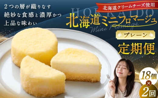 【2回定期便】 北海道ミニフロマージュ （プレーン） 約900g×2回 合計約1.8kg ミニフロマージュ フロマージュ チーズケーキ ケーキ スイーツ 洋菓子 冷凍 北海道 小樽市