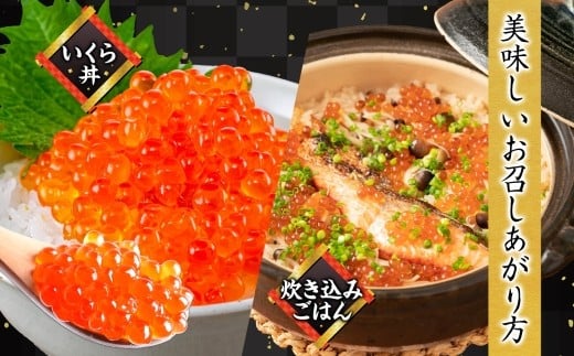 ニッスイ 北海道秋鮭いくら醤油漬け 400g （100g × 4） いくら イクラ 醤油漬け 魚卵 魚介 魚介類 北海道産 国産 北海道 小樽市 冷凍