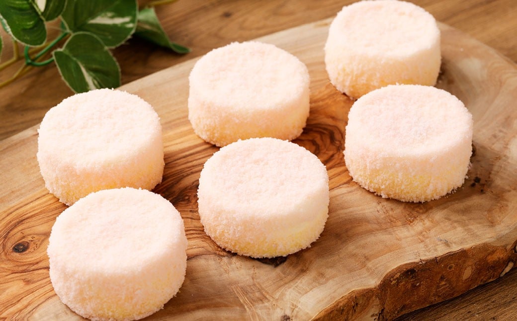 【4回定期便】 北海道ミニフロマージュ （アップル） 約900g×4回 合計約3.6kg ミニフロマージュ フロマージュ チーズケーキ ケーキ スイーツ 洋菓子 冷凍 北海道 小樽市