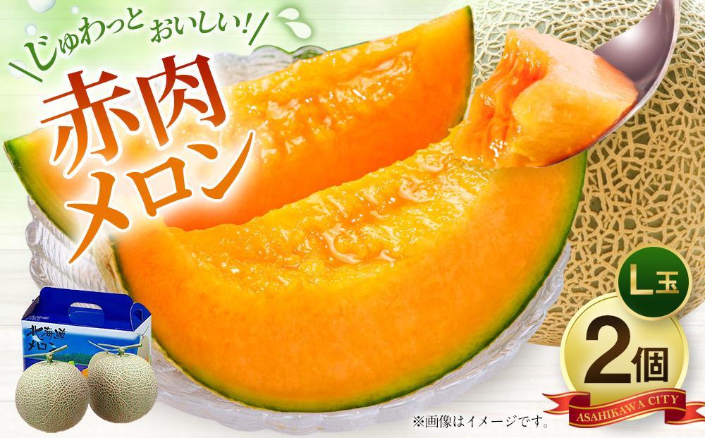 縲26蟷エ逋コ騾∝郁。御コ育エ縲大圏豬キ驕薙瑚オ、閧峨Γ繝ュ繝ウ縲広邇嘉2蛟 (2026蟷エ7譛育匱騾髢句ァ倶コ亥ョ) 縲 譫懃黄 縺上□繧ゅョ 繝輔Ν繝シ繝 繝。繝ュ繝ウ 襍、閧 襍、閧峨Γ繝ュ繝ウ 譌ャ 縺雁叙繧雁ッ縺 逕倥> 蛹玲オキ驕鍋肇 譌ュ蟾晏ク 蛹玲オキ驕 縲狙00112