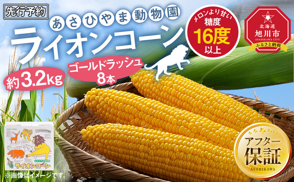 【26年発送先行予約】あさひやま動物園ライオンコーン約3.2kg(ゴールドラッシュ8本)2026年8月下旬から発送開始予定 【 とうもろこし 人気 北海道 糖度 野菜 スイートコーン 産地直送 ゴールドラッシュ コーン 旬 お取り寄せ 旭川市 北海道 】_03812