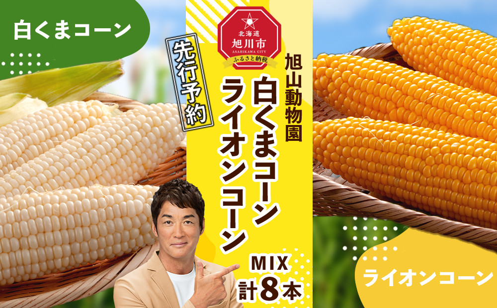 【26年発送先行予約】旭山動物園　白くまコーン4本　ライオンコーン4本　MIX　合計8本（2026年8月中旬から発送開始予定）【 とうもろこし 人気 北海道 糖度 野菜 白いとうもろこし 白いスイートコーン 産地直送 ホワイトレディ ゴールドラッシュ コーン 玉蜀黍 旬 お取り寄せ 旭川市 北海道 】_03815