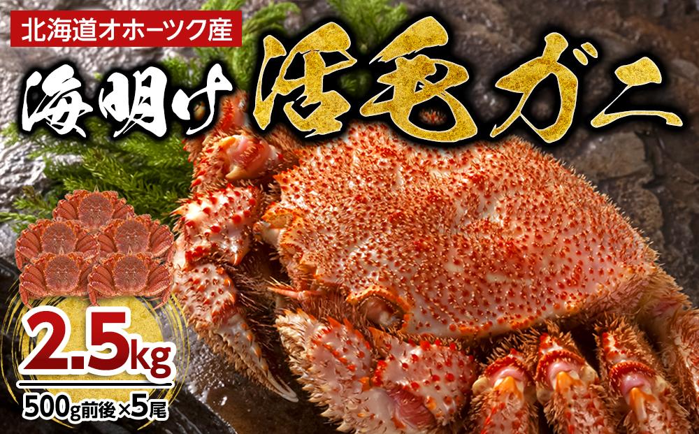 【着日指定可】北海道オホーツク産海明け活毛ガニ　ボイル未冷凍配送(チルド 冷蔵配送)　500g前後　5尾　_03503