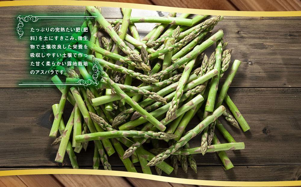 【2026年先行予約】露地物朝採りアスパラ　鮮度保持フィルム入り　Lサイズ　400g×2　合計800g(5月中旬発送開始予定) 【 アスパラ アスパラガス 朝採り とれたて 野菜 旬 小分け 保存 産直 産地直送 お取り寄せ 旭川市 北海道 】_03818