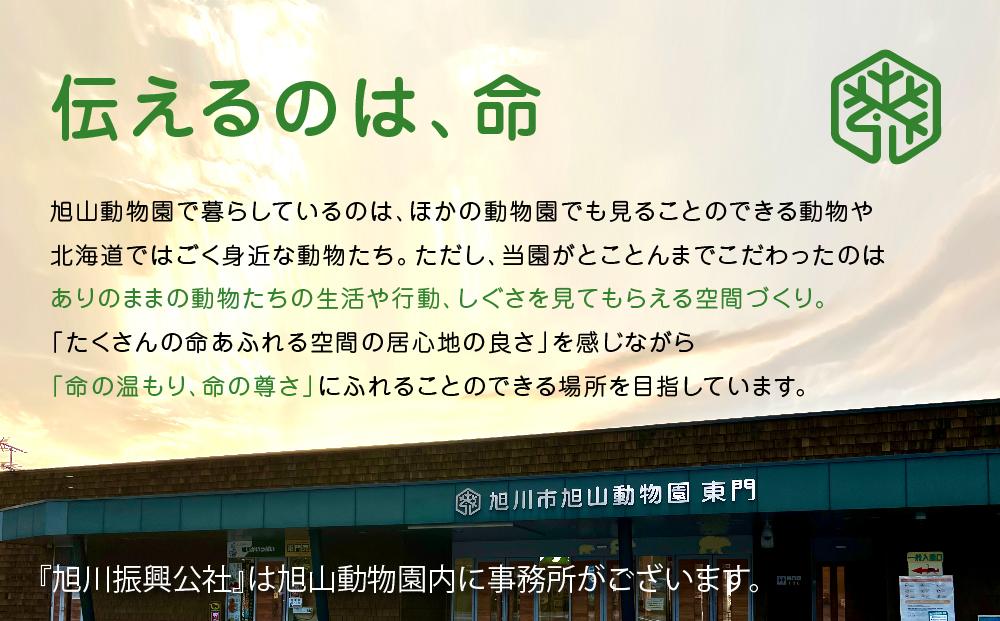 刷毛引本染手ぬぐい　A 【 旭山動物園 公式 グッズ 布巾 布 ふきん 日用品 北海道 旭川 】_04595