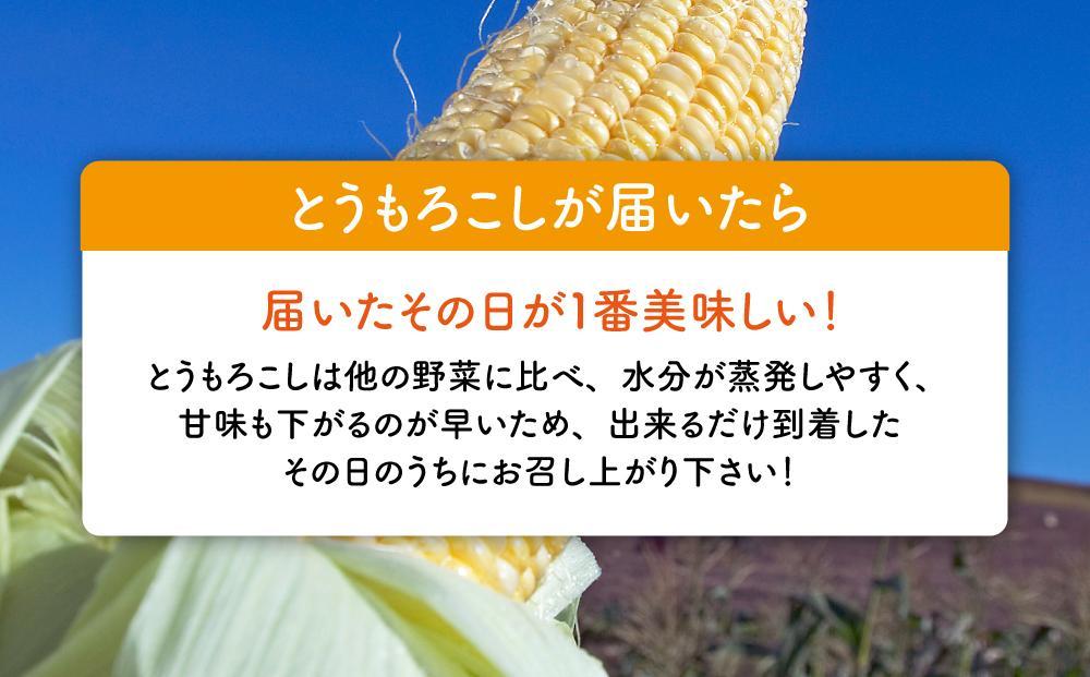 【先行予約】黄金色で大粒 ゴールドラッシュ 8本 3.2kg (2025年8月下旬～発送開始予定)【 人気 北海道産 糖度 生 野菜 スイートコーン 産地直送 バーベキュー BBQ コーン 旬 お取り寄せ 旭川市 北海道 送料無料 】_04560