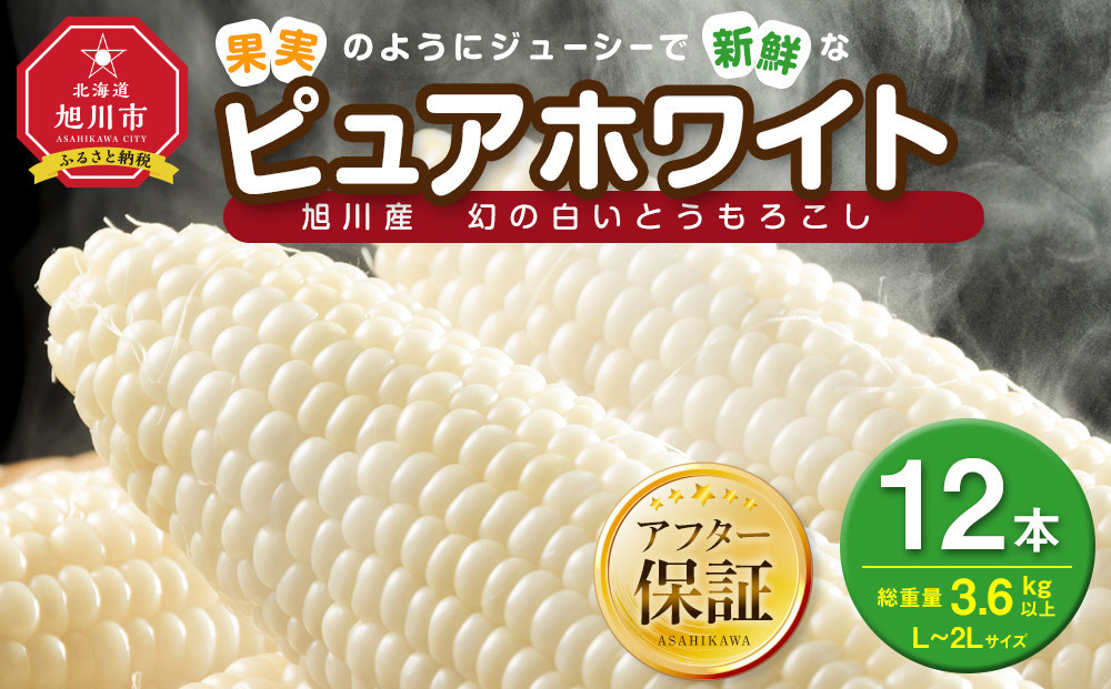 【2026年先行予約】白いとうもろこしピュアホワイト 12本 3.6kg（2026年8月下旬から発送開始予定）【 人気 北海道産 糖度 生 野菜 スイートコーン 産地直送 バーベキュー BBQ コーン 旬 お取り寄せ 旭川市 北海道 送料無料 】_00407