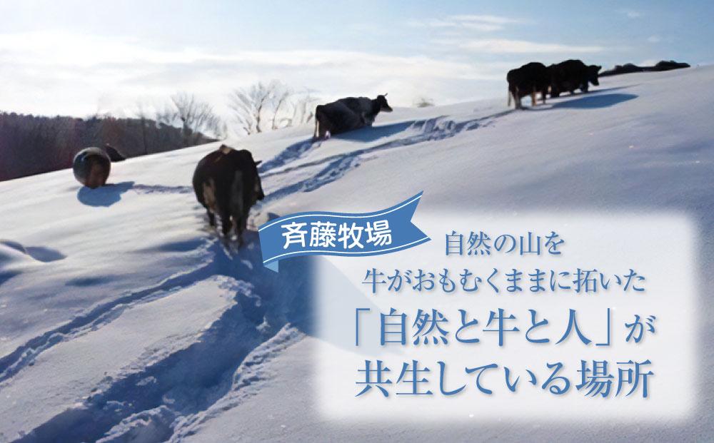 斉藤牧場の山地自然放牧牛乳【お試しセット】（900ml×2本）