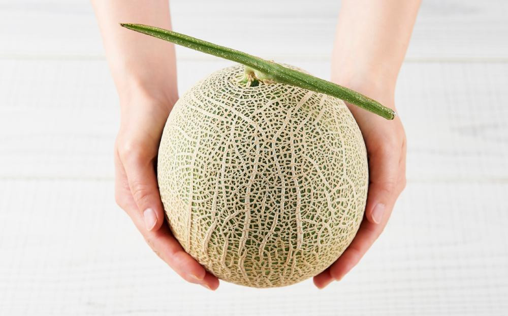 【26年発送先行予約】北海道産赤肉メロン約1.3kg×2玉 (2026年7月中旬から発送開始予定) 【 果物 くだもの フルーツ メロン 赤肉 赤肉メロン 旬 お取り寄せ 甘い 北海道産 旭川市 北海道 】_03905