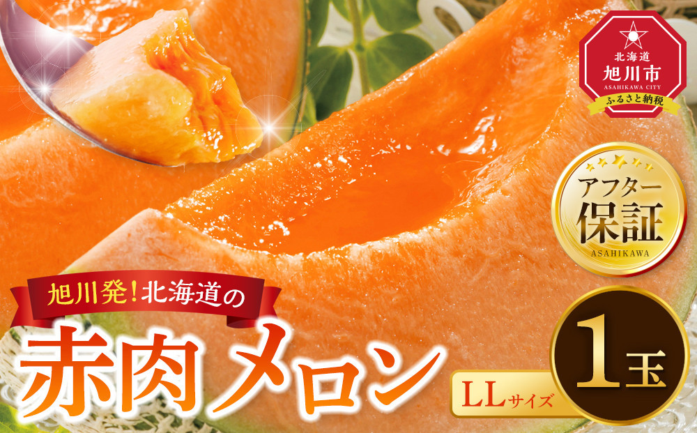 【26年発送先行予約】北海道産 赤肉メロン LLサイズ 1玉（計2.0kg以上）2026年6月下旬から発送開始予定 【 果物 くだもの フルーツ メロン 赤肉 赤肉メロン 旬 お取り寄せ 甘い 北海道産 旭川市 北海道 】_04564