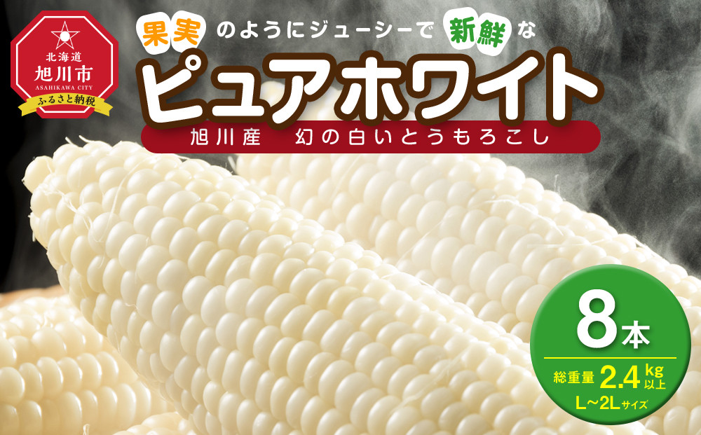 【2026年先行予約】白いとうもろこしピュアホワイト 8本 2.4kg（2026年8月下旬から発送開始予定）【 人気 北海道産 糖度 生 野菜 スイートコーン 産地直送 バーベキュー BBQ コーン 旬 お取り寄せ 旭川市 北海道 送料無料 】_04559