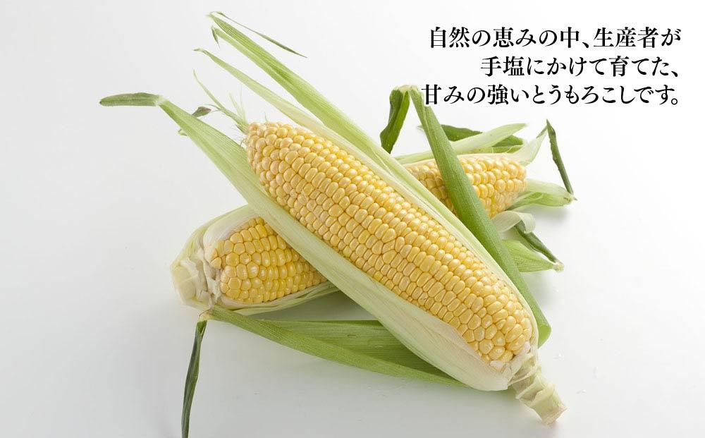 【先行予約】【旭川近郊産】黄色いとうもろこし（ゴールドラッシュ）4kg（11-13本）(2025年8月上旬発送予定) 【 人気 北海道産 糖度 生 野菜 スイートコーン 産地直送 バーベキュー BBQ コーン 旬 お取り寄せ 旭川市 北海道 送料無料 】_00092