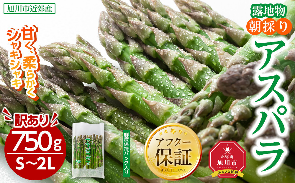 ◆2026年先行予約◆【訳あり】露地物朝採りアスパラ 750g×1 　鮮度保持フィルム入り(5月中旬発送開始予定) 【 アスパラ アスパラガス 朝採り とれたて 野菜 旬 小分け 保存 産直 産地直送 お取り寄せ 旭川市 北海道 】_04751