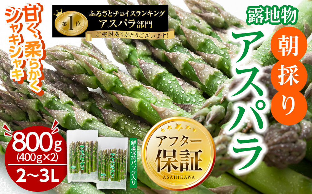 【2026年先行予約】露地物朝採りアスパラ 2L～3Lサイズ800g（400g×2）鮮度保持フィルム入り(5月中旬発送開始予定) 【 アスパラ アスパラガス 朝採り とれたて 野菜 旬 小分け 保存 産直 産地直送 お取り寄せ 旭川市 北海道 】_01593