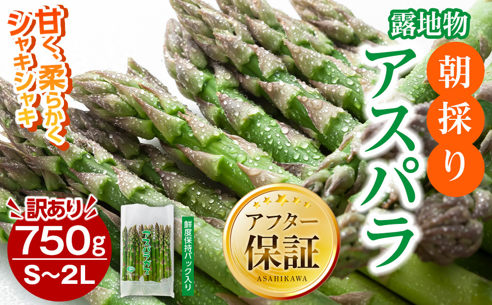 【訳あり】露地物朝採りアスパラ 750g×1 　鮮度保持フィルム入り(5月中旬発送開始予定) 【 アスパラ アスパラガス 朝採り とれたて 野菜 旬 小分け 保存 産直 産地直送 お取り寄せ 旭川市 北海道 】_04751