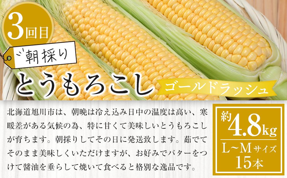 【先行予約】旬の野菜・フルーツ定期便A 3ヶ月(アスパラ・メロン・とうもろこし) (2025 年5月下旬から順次発送開始予定) 【 野菜 アスパラ グリーンアスパラ アスパラガス ゴールドラッシュ とうもろこし 赤肉 メロン フルーツ 果物 旭川市ふるさと納税 北海道ふるさと納税 旭川市 北海道 お取り寄せ 送料無料 定期便 頒布会 冷蔵配送 クール便 】_04539