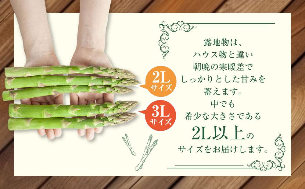 【2026年先行予約】露地物朝採りアスパラ 2L～3Lサイズ800g（400g×2）鮮度保持フィルム入り(5月中旬発送開始予定) 【 アスパラ アスパラガス 朝採り とれたて 野菜 旬 小分け 保存 産直 産地直送 お取り寄せ 旭川市 北海道 】_01593