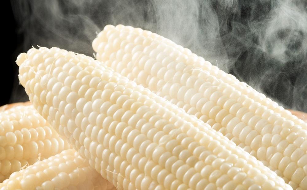 【2026年先行予約】とうもろこしコラボセット!　ピュアホワイト5本×ゴールドラッシュ5本（2026年8月下旬から発送開始予定）【 白いとうもろこし 人気 北海道産 糖度 生 野菜 スイートコーン 産地直送 バーベキュー BBQ コーン 旬 お取り寄せ 旭川市 北海道 】_03648