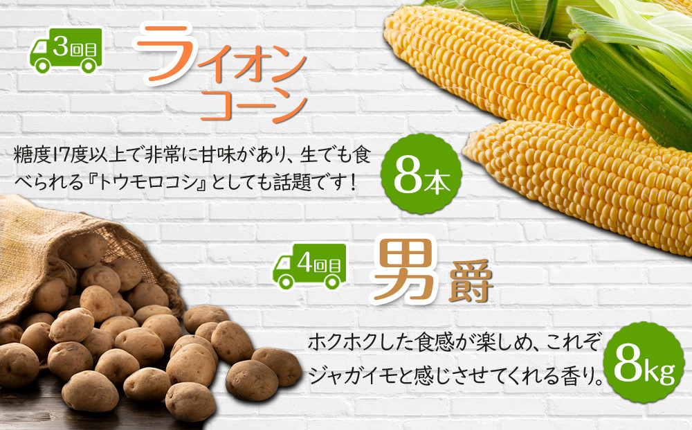 ã26幎5æçºééå§ããã«å€ªé å®æäŸ¿Iã»ããïŒã¢ã¹ãã©ãèµ€èã¡ãã³ãã©ã€ãªã³ã³ãŒã³ãç·çµãç¡æ·»å é®ã€ã¯ã©é€æ²¹æŒ¬ãïŒå
š5å _03822