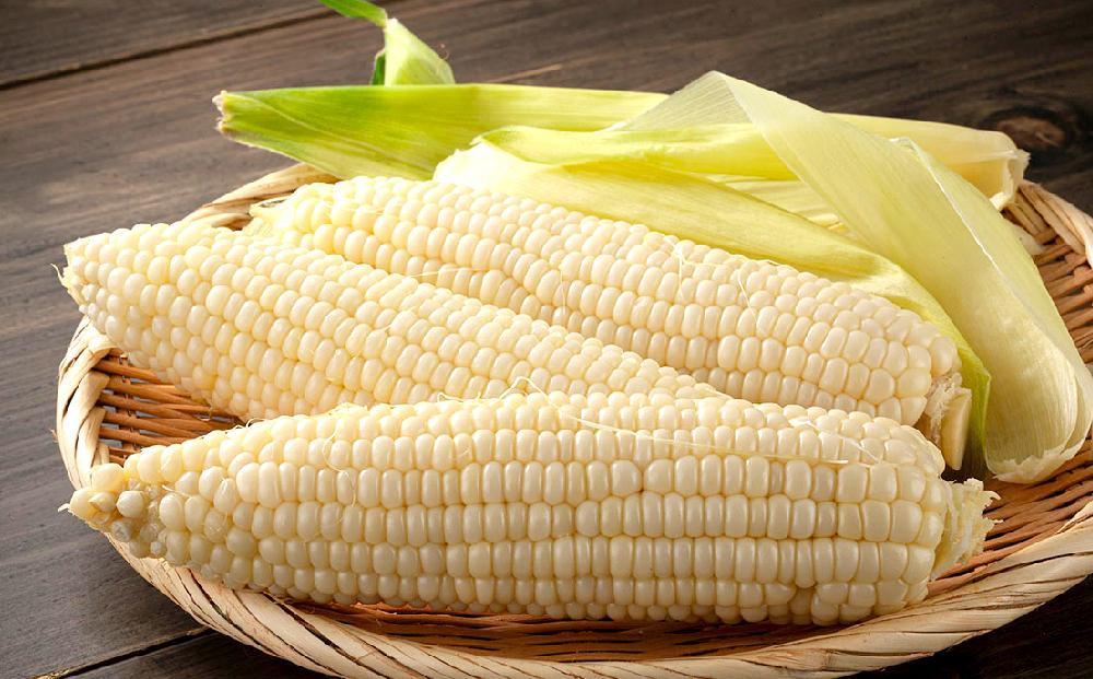 ã26幎çºéå
è¡äºçŽãæå±±åç©åãçœããŸã³ãŒã³4æ¬ãã©ã€ãªã³ã³ãŒã³4æ¬ãMIXãåèš8æ¬ïŒ2026幎8æäžæ¬ããçºééå§äºå®ïŒã ãšããããã äººæ° åæµ·é ç³åºŠ éè çœããšããããã çœãã¹ã€ãŒãã³ãŒã³ ç£å°çŽé ãã¯ã€ãã¬ã㣠ãŽãŒã«ãã©ãã·ã¥ ã³ãŒã³ çèé» æ¬ ãåãå¯ã æå·åž åæµ·é ã_03815