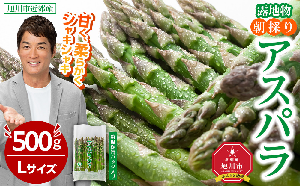 【2026年先行予約】露地物朝採りアスパラ　鮮度保持フィルム入り　Lサイズ　500g×1(5月中旬発送開始予定)【 アスパラ アスパラガス 朝採り とれたて 野菜 旬 小分け 保存 産直 産地直送 お取り寄せ 旭川市 北海道 】_04750