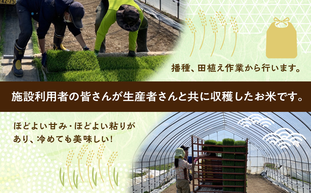 ふくしえんのおこめ（ななつぼし）5kg 【 特A 白米 精米 ご飯 ごはん 米 お米 ななつぼし 旭川市ふるさと納税 北海道ふるさと納税 旭川市 北海道 】_05684