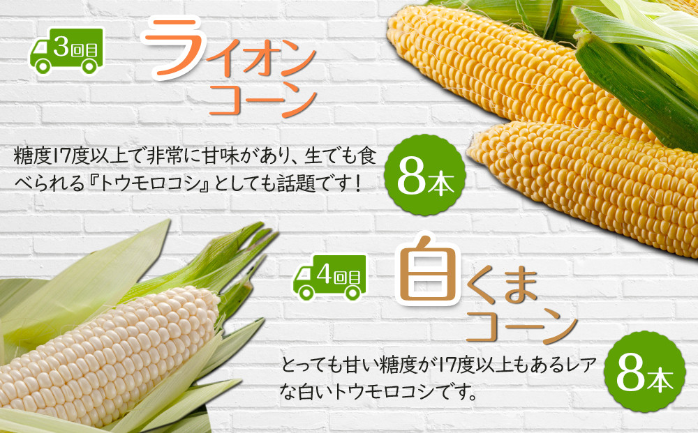 【26年5月発送開始】かに太郎 定期便Nセット（アスパラ、赤肉メロン、ライオンコーン、白くまコーン、キタアカリ、無添加鮭イクラ醤油漬け）全6回 _03827