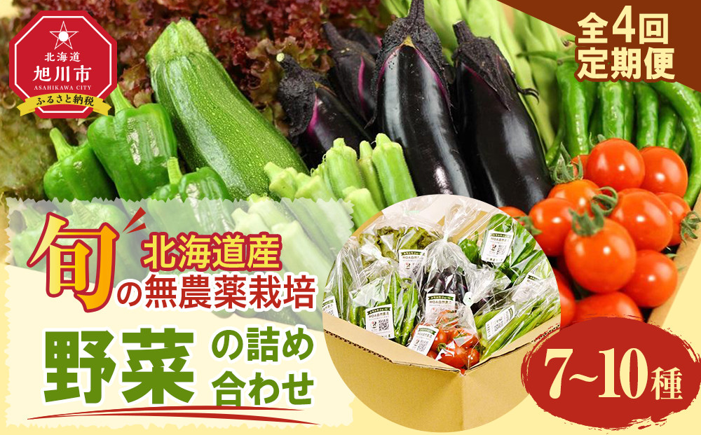 【2026年先行予約】7・8・9・10月　計4回定期便　北海道産旬の無農薬栽培　野菜の詰め合わせ7～10種類 【 サニーレタス 水菜 チンゲンサイ さやえんどう スナップエンドウ さやいんげん ささぎ豆 春大根 ズッキーニ なす トマト きゅうり ししとう なんばん オクラ カボチャ じゃがいも にんじん 北海道産 無農薬栽培 野菜セット 季節の野菜 新鮮 お取り寄せ 野菜ボックス 安全 安心 野菜直送 人気 旭川市 】_04702