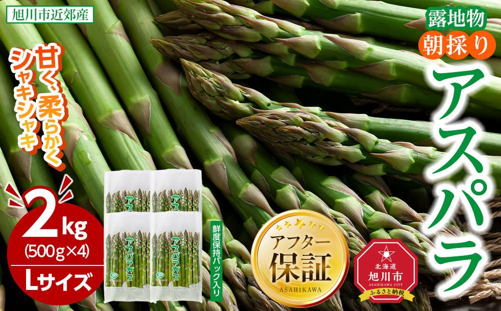 【2026年先行予約】朝採りアスパラ Lサイズ 2kg（500g×4）鮮度保持パック入り 旭川近郊産 露地物(5月中旬発送開始予定) 【 アスパラ アスパラガス 朝採り とれたて 野菜 旬 小分け 保存 産直 産地直送 お取り寄せ 旭川市 北海道 送料無料 】_01591