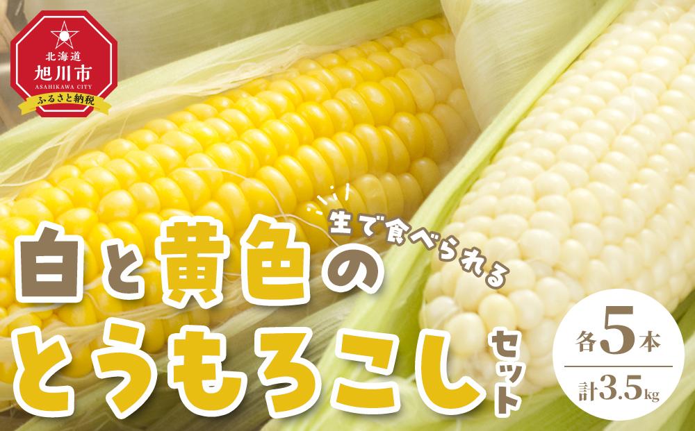 【先行予約】【旭川近郊産】白と黄色のとうもろこしセット　各5本（計3.5kg）(2025年8月上旬発送開始予定)【 白いとうもろこし 人気 北海道産 糖度 生 野菜 スイートコーン 産地直送 バーベキュー BBQ コーン 旬 お取り寄せ 旭川市 北海道 送料無料 】_00094