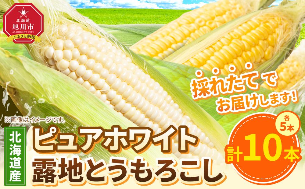 【先行予約】ピュアホワイト5本・露地とうもろこし5本　合計10本　2025年8月下旬から発送開始予定 【 白いとうもろこし 人気 北海道産 糖度 生 野菜 スイートコーン 産地直送 バーベキュー BBQ コーン 旬 お取り寄せ 旭川市 北海道 】_04756