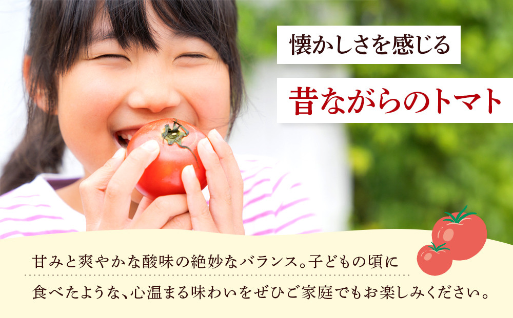 旭川市西神楽産 桃太郎トマト2kg_05907