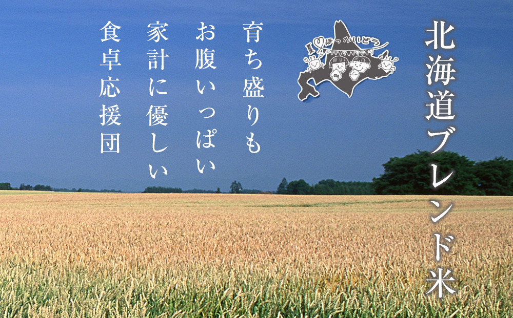 ãå®æäŸ¿ã什å7å¹ŽåºŠç£ åæµ·éãã¬ã³ãç±³ (5kg) 3ã¶ææ¯æçºé_05540