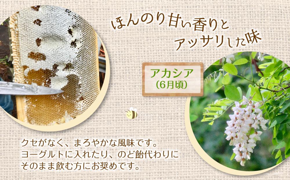 【スティック蜂蜜】アカシア 2.5g×100本入【 ハチミツ はちみつ ハニー 防災グッズ 常温 保存 備蓄 防災食 非常食 保存食 北海道 旭川市 】_00512