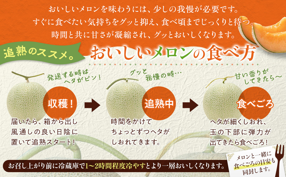 【26年発送先行予約】北海道産赤肉メロン約1.6kg×2玉 (2026年7月中旬から発送開始予定) 【 果物 くだもの フルーツ メロン 赤肉 赤肉メロン 旬 お取り寄せ 甘い 北海道産 旭川市 北海道 】_02061