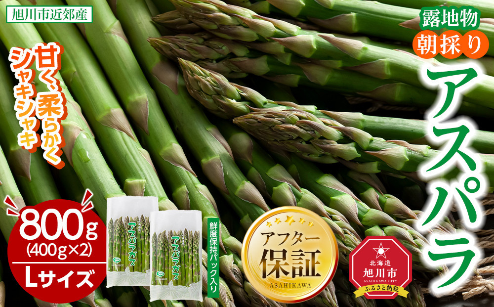 【2026年先行予約】露地物朝採りアスパラ　鮮度保持フィルム入り　Lサイズ　400g×2　合計800g(5月中旬発送開始予定) 【 アスパラ アスパラガス 朝採り とれたて 野菜 旬 小分け 保存 産直 産地直送 お取り寄せ 旭川市 北海道 】_03818