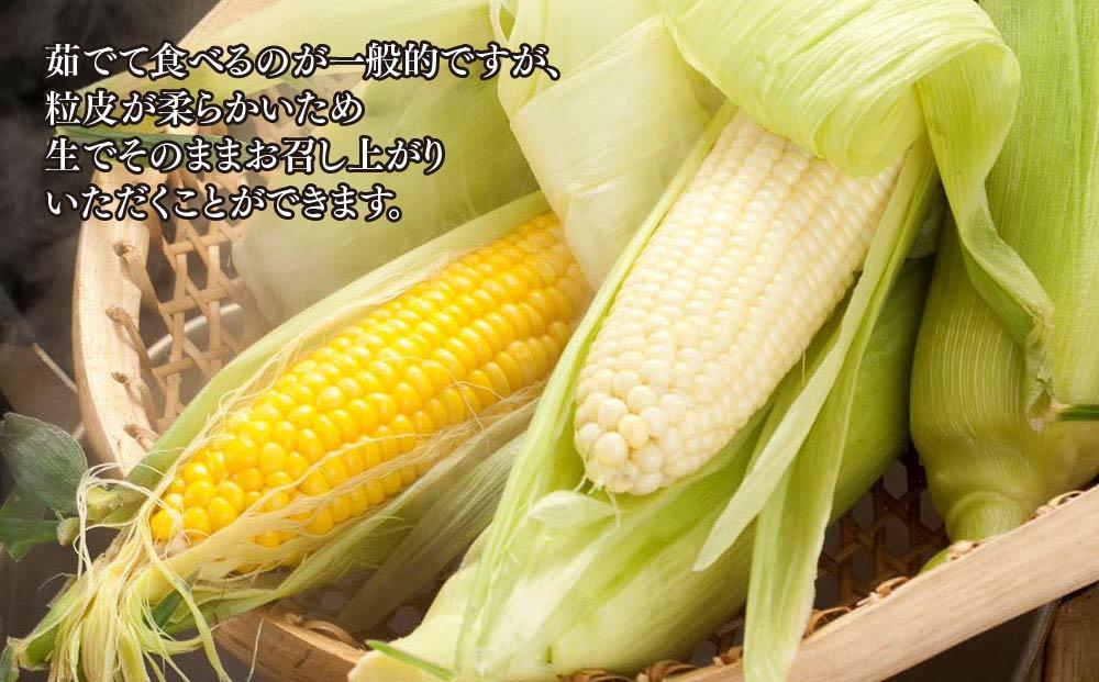 【先行予約】【旭川近郊産】白と黄色のとうもろこしセット　各5本（計3.5kg）(2025年8月上旬発送開始予定)【 白いとうもろこし 人気 北海道産 糖度 生 野菜 スイートコーン 産地直送 バーベキュー BBQ コーン 旬 お取り寄せ 旭川市 北海道 送料無料 】_00094