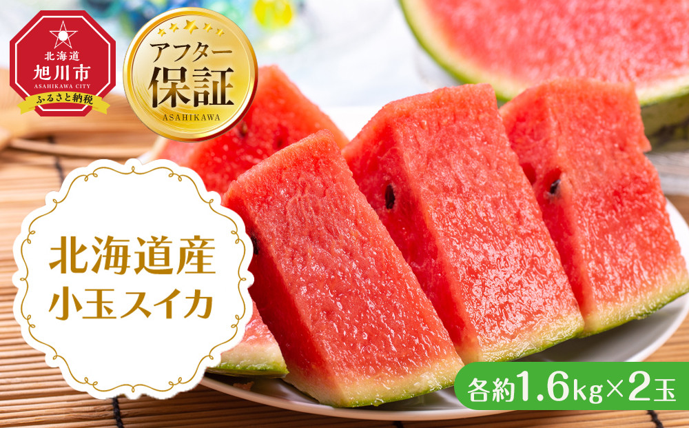 ã26幎çºéå
è¡äºçŽãåæµ·éç£å°çã¹ã€ã«çŽ1.6kgÃ2ç (2026幎7æäžæ¬ããçºééå§äºå®)_02063