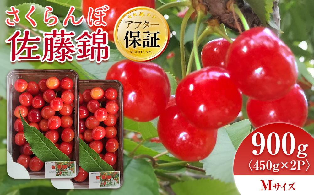 【先行予約】さくらんぼ佐藤錦 450g×2パック Mサイズ(2026年7月上旬から発送開始予定)_05816