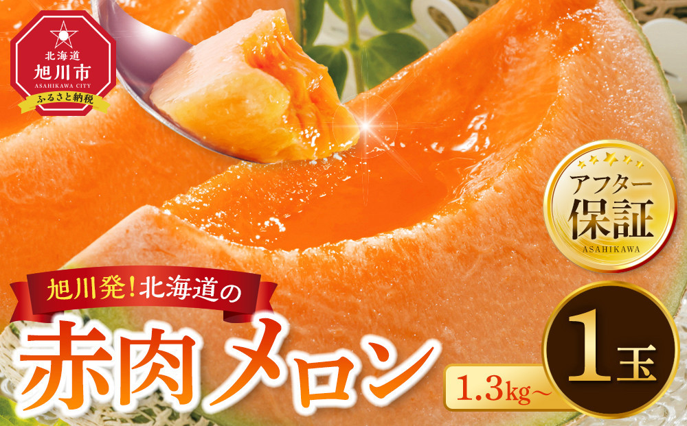 【26年発送先行予約】旭川発！北海道の赤肉メロン1玉（1玉標準 1.3kg以上）2026年6月下旬から発送開始予定 【 果物 くだもの フルーツ メロン 赤肉 赤肉メロン 旬 お取り寄せ 甘い 北海道産 旭川市 北海道 】 _05230