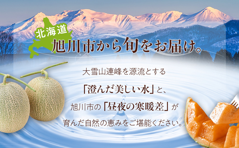 【26年発送先行予約】北海道産赤肉メロン約1.3kg×2玉 (2026年7月中旬から発送開始予定) 【 果物 くだもの フルーツ メロン 赤肉 赤肉メロン 旬 お取り寄せ 甘い 北海道産 旭川市 北海道 】_03905