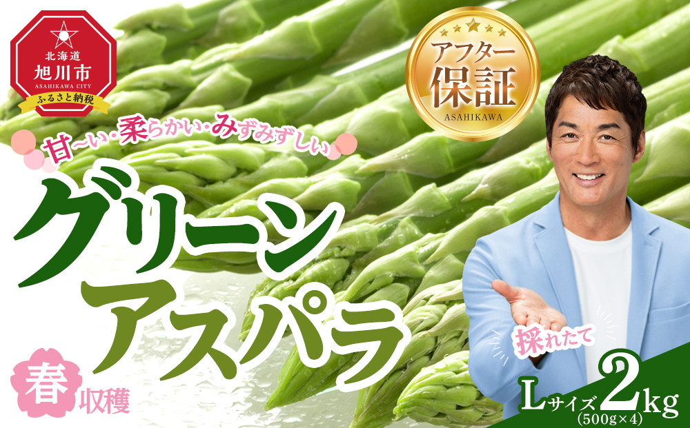 【先行予約】春収穫グリーンアスパラLサイズ（500g×4）約2.0kg（2026年6月上旬から発送開始予定）【 アスパラ アスパラガス 朝採り とれたて 野菜 旬 小分け 保存 産直 産地直送 お取り寄せ 旭川市 北海道 】_05531